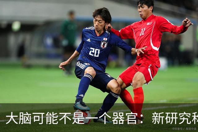 大脑可能不是"一个器官"：新研究称它由两套神经系统拼合而成