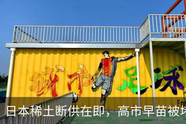 日本稀土断供在即，高市早苗被堵国会喊下台：毛宁一句话表态