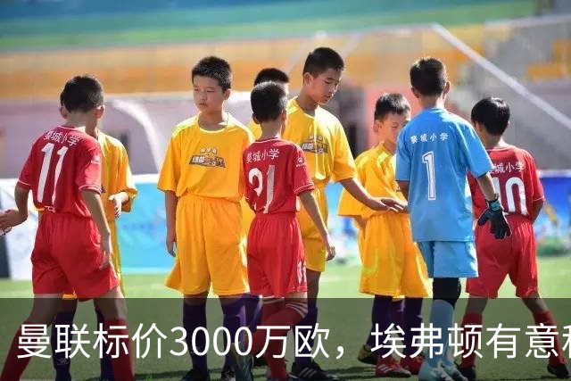 曼联标价3000万欧，埃弗顿有意租借拉什福德