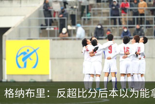 格纳布里：反超比分后本以为能拿下比赛 但也完全可以接受平局