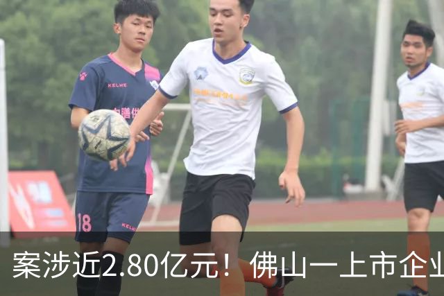 案涉近2.80亿元！佛山一上市企业状告遵义市政府