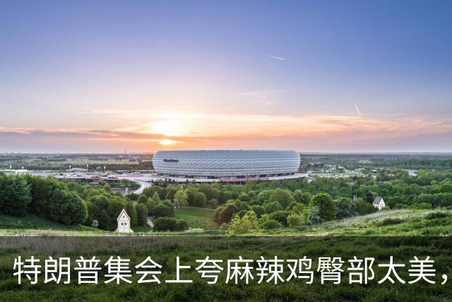 特朗普集会上夸麻辣鸡臀部"太美"，还自曝爱看男人身材