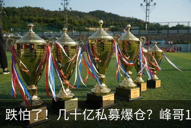 跌怕了！几十亿私募爆仓？峰哥10月怒亏100万，但斌后悔没高抛低吸