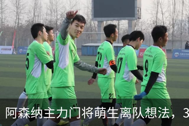 阿森纳主力门将萌生离队想法，3.76亿元锋线新援进入引援视野