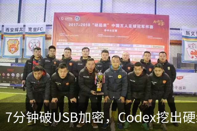 7分钟破USB加密，Codex挖出硬编码密钥