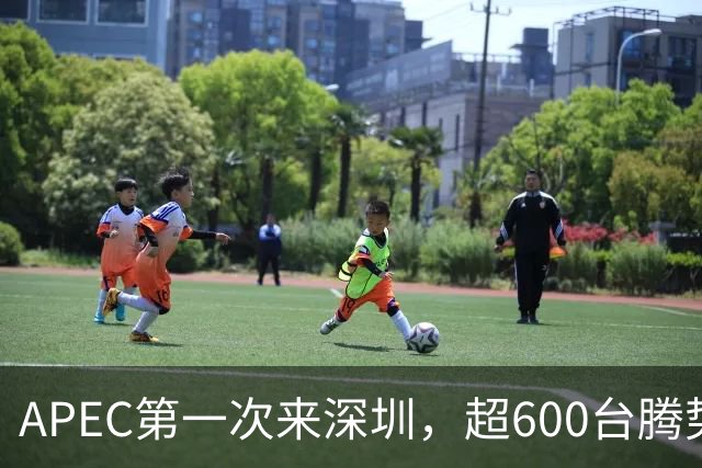 APEC第一次来深圳，超600台腾势D9，成为指定用车